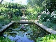 Water Garden