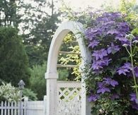 Archway Garden