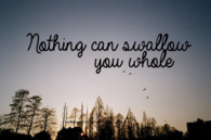 Nothing can swallow you whole