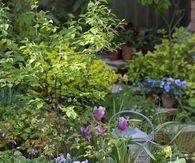 Planting containers