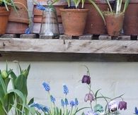 Vintage style garden containers
