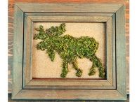 Moss moose silhouette