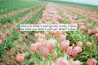Better and worse