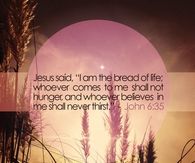 Bread of life