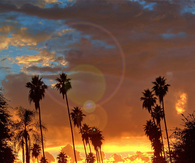 California sunshine