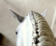 Horse braid