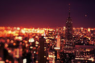 The city lights