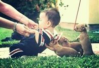 Helping paws