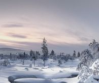 Ice path