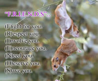 friends