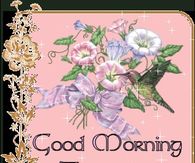 Good Morning Thursday