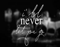 Ill never let you go