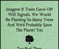 Imagine if