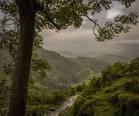 Peaceful stream