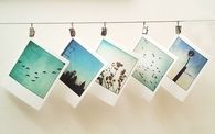 Photos