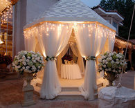 Wedding day canopy