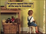 appeal this case