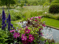 Built in pond garden