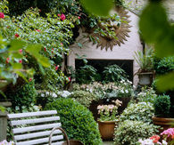 Small flower patio