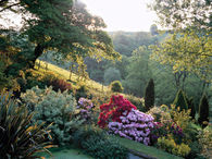 Hillside garden