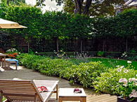 Private backyard garden