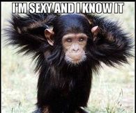 sexy and I know it