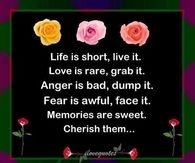 life is short