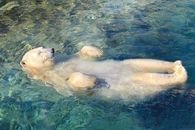 Now This Is What U Really Call "Chilling!!!"