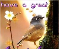 have a great Tuesday