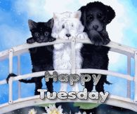 Happy Tuesday