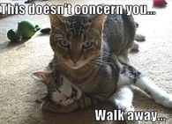 Walk away meme