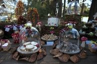 Enchanted forest birthday