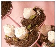 Nest inspired cupcakes
