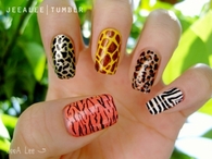 Leopard, zebra cheetah nails