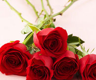Red roses