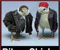 Biker Chicks