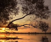 Reflecting waters