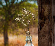 Country vase