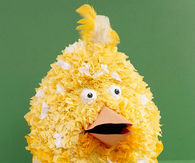 Chick pinata