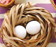 Recycled easter nest