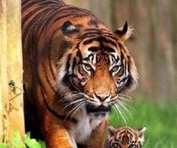 "Jus' Follow Me!!"