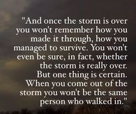 The Storm