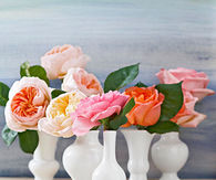 Bud Vase Grouping