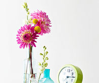 Bedside table surprise