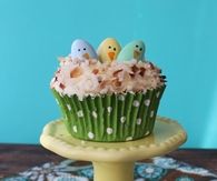 Coconut chicky cupcake