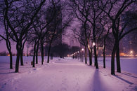 Reflecting purple snow