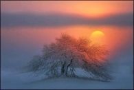 Glowing Skies!!