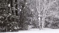 Winter snow