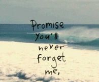 Promise youll never forget me