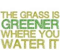 The grass is greener where you water it